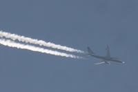 EI-DWE